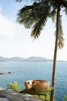 Coconut tree summer beach view point sunny day photo