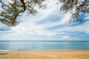 Panorama beach waves water splash shoreline summer. Trees leaf shadows on sandy clouds. photo