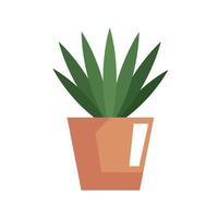 classic houseplant in pot vector