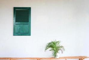 Green old window on white wall with a plant on the pot photo