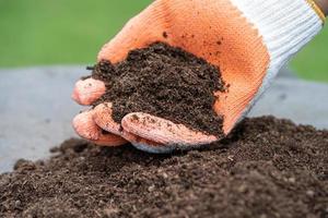 la mano que sostiene la materia orgánica de musgo de turba mejora el suelo para la agricultura cultivo de plantas orgánicas, concepto de ecología. foto