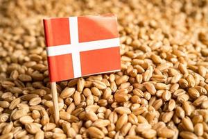 Grains wheat with Denmark flag, trade export and economy concept. photo