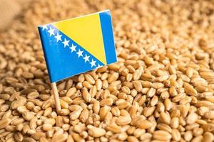 Grains wheat with Bosnia and Herzegovina flag, trade export and economy concept. photo