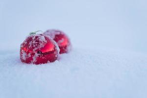 bola de navidad roja en nieve fresca foto