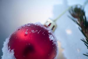 christmas balls on pine tree photo