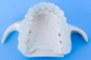 mandíbula superior humana con dientes foto