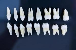 Top view of white teeth on blue background photo