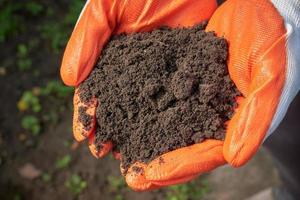 Handful of brown fertile land in hands of farmer. photo