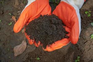 Gloved hands holding handful of fertile brown earth. photo