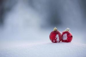 christmas ball in snow photo