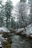Water stream in the winter forest. Trees and shore covered in snow photo