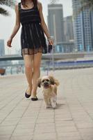 happy young woman with puppy have fun photo