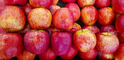 manzanas rojas frescas buenas para fondo multimedia grupo de manzanas rojas maduras foto