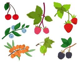 Set of different berry twigs. Natural food in cartoon style. vector