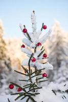 christmas balls on pine tree photo