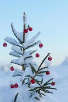 christmas balls on pine tree photo