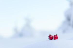 red christmas balls in fresh snow photo