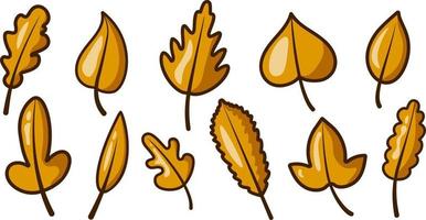 lindo conjunto de hojas de otoño. estilo de dibujos animados planos vectoriales. icono de objeto de la naturaleza. Hola otoño. para el diseño de pancartas y postales para las vacaciones de otoño. Aislado en un fondo blanco. elementos de otoño vector