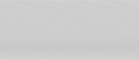 abstract pattern of lines on white background. Abstract white background with lines vector