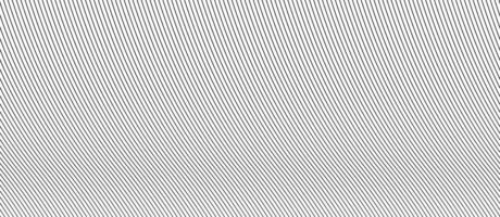 abstract pattern of lines on white background. Abstract white background with lines vector