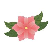 pink flower with leaves vector