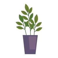 houseplant in purple pot vector