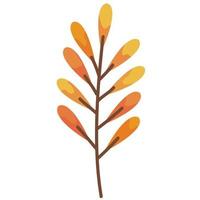 orange autumn branch with leafs vector