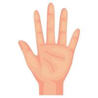 hand human stop vector