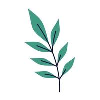 branch with leafs vector