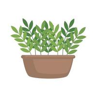 houseplant in brown pot vector