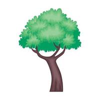 árbol planta naturaleza vector