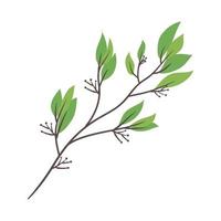 rama con hojas planta vector