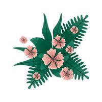 flowers pink and leaves vector