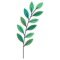 leaves in branch vector
