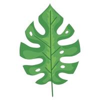 exotic leaf plant vector