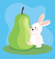 rabbit with pear fruit vector