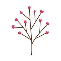 red seeds in branch vector