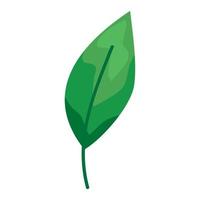 green vivid leaf plant vector