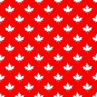 Red maple canada seamless pattern. Vector and Illustration.