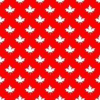 Red maple canada seamless pattern. Vector and Illustration.