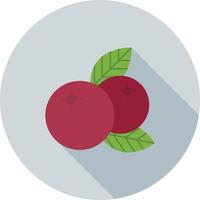 Cranberries Flat Long Shadow Icon vector