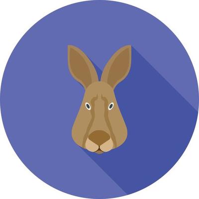 Rabbit Face Flat Long Shadow Icon