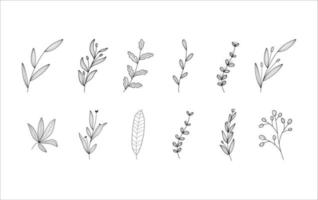 Illustrations Set of Leaves on White Background vector