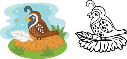 Illustration of educational coloring book cartoon quail vector