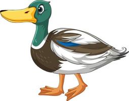 Cute duck cartoon character on white background vector