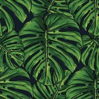 Seamless pattern tropical with monstera leaf abstract background.Vector illustration hand drawing dry watercolor style. For fabric pattern print design. vector