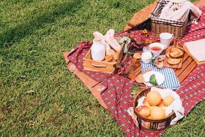 picnic de verano con una canasta de comida en una manta en el parque. espacio libre para texto foto