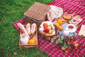 picnic de verano con una canasta de comida en una manta en el parque. foto