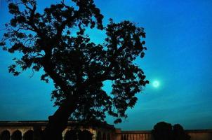 un hermoso brillo de luna contra la silueta de la icónica arquitectura mogol y un árbol alto y viejo en primer plano. foto