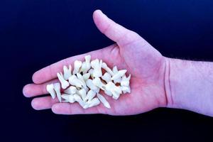 human hand holding white teeth on blue background photo